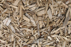 biomass boilers Pentre Dolau Honddu